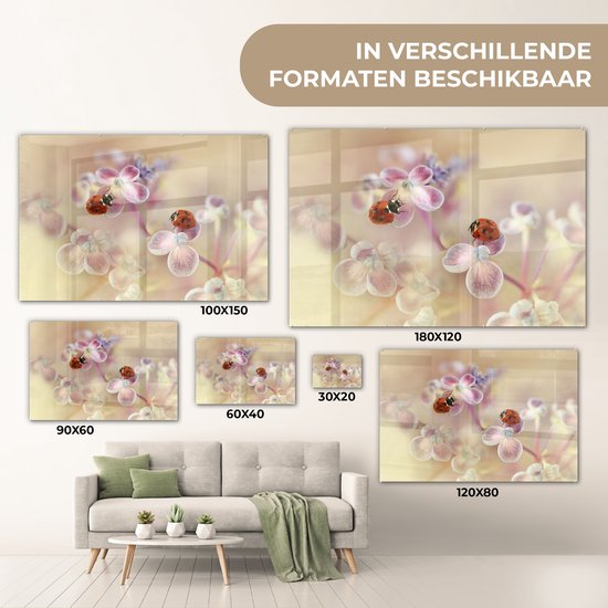 MuchoWow® Peinture sur Verre - Fleurs - Pétales - Coccinelle - 150x100 cm - Peintures sur Verre Peintures - Photo sur Glas
