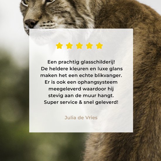 ® Glasschilderij 20x30 cm - Schilderij acrylglas - Lynx zit op een steen - Foto op glas - Muurdecoratie woonkamer - Wanddecoratie slaapkamer - Schilderijen