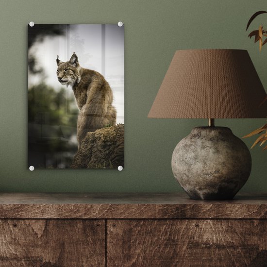 ® Glasschilderij 20x30 cm - Schilderij acrylglas - Lynx zit op een steen - Foto op glas - Muurdecoratie woonkamer - Wanddecoratie slaapkamer - Schilderijen
