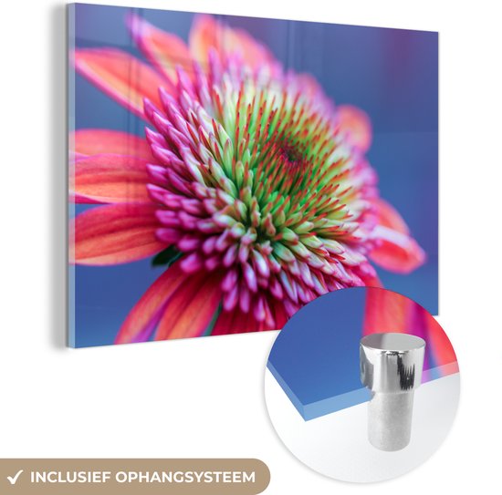MuchoWow® Glasschilderij 90x60 cm - Schilderij acrylglas - Bloemen - Roze - Licht - Foto op glas - Schilderijen