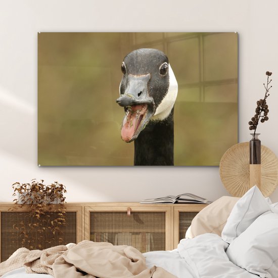 MuchoWow® Peinture sur verre 120x80 cm - Peinture sur verre acrylique - Tête d'oiseau de grande bernache du Canada - Photo sur verre - Peintures