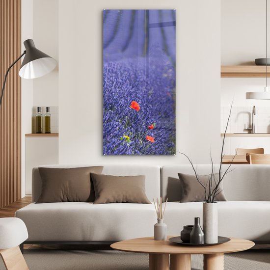 MuchoWow® Peinture sur Verre - Lavande - Coquelicot - Prairie de Fleurs - 60x120 cm - Peintures sur Verre Acrylique - Photo sur Glas