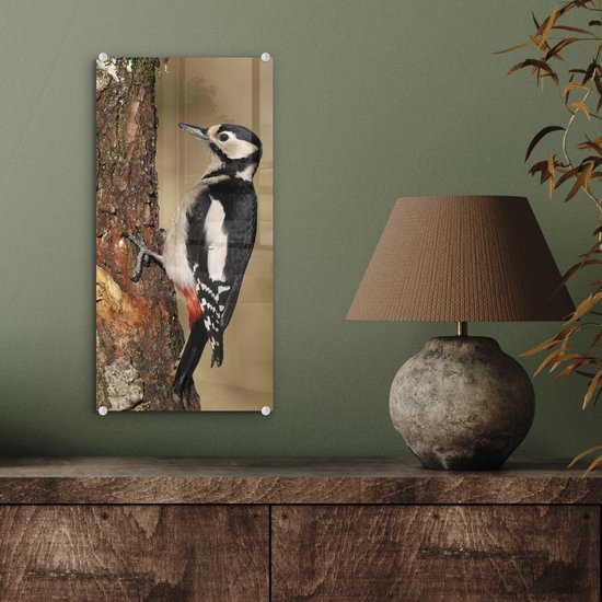 Peinture sur Verre - Un Pic épeiche en Automne - 20x40 cm - Peintures sur Verre Peintures - Photo sur Glas