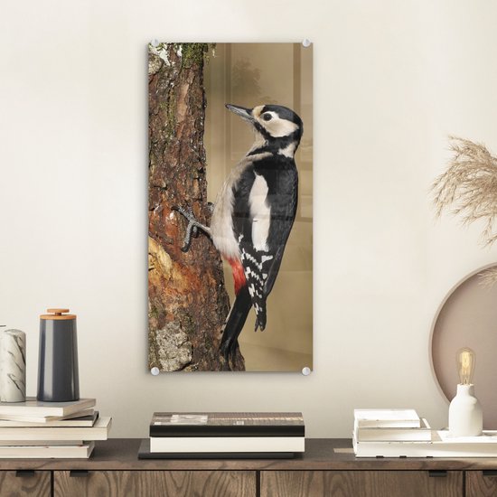 Peinture sur Verre - Un Pic épeiche en Automne - 20x40 cm - Peintures sur Verre Peintures - Photo sur Glas