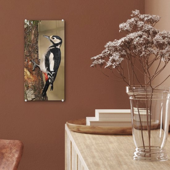 Peinture sur Verre - Un Pic épeiche en Automne - 20x40 cm - Peintures sur Verre Peintures - Photo sur Glas