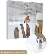MuchoWow® Glasschilderij 20x20 cm - Schilderij acrylglas - Vogel - Hek - Sneeuw - Foto op glas - Schilderijen