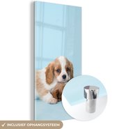 MuchoWow® Glasschilderij - Twee slaperige pups - 60x120 cm - Acrylglas Schilderijen - Foto op Glas