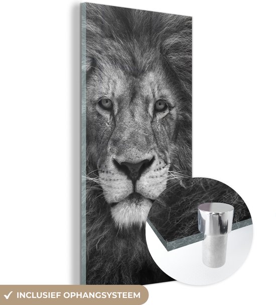 Peinture sur verre - Profil animal Lion persan en noir et blanc - 40x80 cm - Peintures sur Verre Peintures - Photo sur Glas