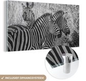 MuchoWow® Glasschilderij 80x40 cm - Schilderij acrylglas - Drie grazende zebra's - Foto op glas - Schilderijen