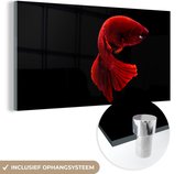 MuchoWow® Glasschilderij 160x80 cm - Schilderij acrylglas - Vis - Rood - Zwart - Foto op glas - Schilderijen