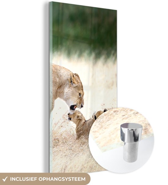 Peinture sur Verre - Lion - Herbe - Cub - Famille - 40x80 cm - Peintures sur Verre Peintures - Photo sur Glas