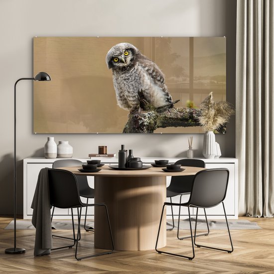 Peinture sur Verre - Jeune - Hibou moineau - Branche - 160x80 cm - Peintures sur Verre Peintures - Photo sur Glas