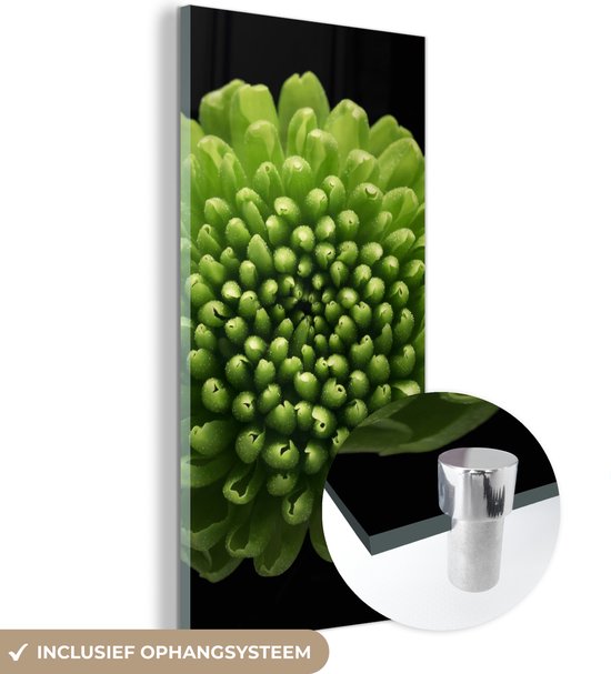 MuchoWow® Glasschilderij 20x40 cm - Schilderij acrylglas - Een groene chrysanthemum bloem op zwarte achtergrond - Foto op glas - Schilderijen