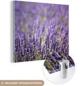 MuchoWow® Glasschilderij 50x50 cm - Schilderij acrylglas - Close-up van een veld paarse lavendel - Foto op glas - Schilderijen