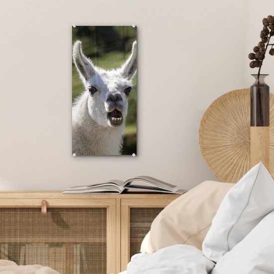 MuchoWow® Peinture sur verre 20x40 cm - Peinture sur verre acrylique - Lama - Drôle - Enfants - Garçons - Filles - Kids - Photo sur verre - Peintures