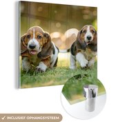 MuchoWow® Glasschilderij 90x90 cm - Schilderij acrylglas - Puppy's rennen door het gras - Foto op glas - Schilderijen