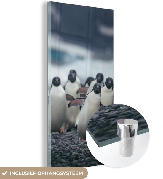 MuchoWow® Glasschilderij 20x40 cm - Schilderij acrylglas - Adelie pinguïns op het strand - Foto op glas - Schilderijen