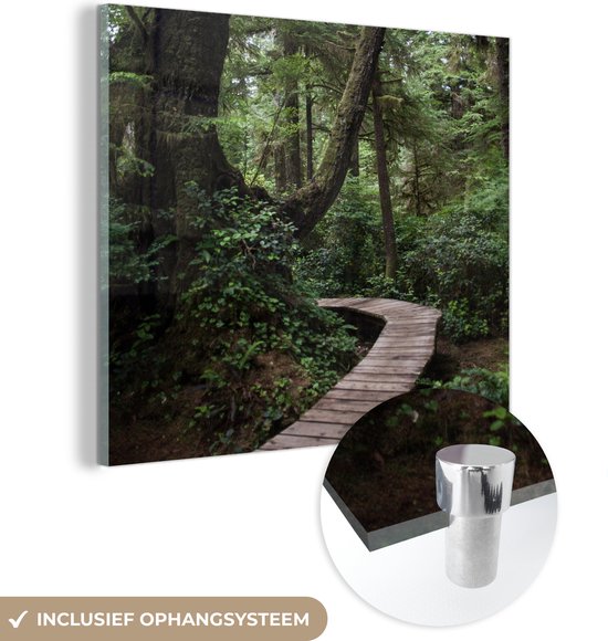 MuchoWow® Glasschilderij 90x90 cm - Schilderij acrylglas - Houten brug in de bemoste bossen van het regenwoud in Costa Rica - Foto op glas - Schilderijen