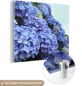 MuchoWow® Glasschilderij 20x20 cm - Schilderij acrylglas - Hortensia bloemen - Foto op glas - Schilderijen