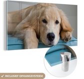 MuchoWow® Peinture sur verre 40x20 cm - Peinture sur verre acrylique - Un Golden Retriever couché - Photo sur verre - Peintures