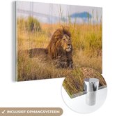 MuchoWow® Glasschilderij 180x120 cm - Schilderij acrylglas - Mannetjes leeuw tussen het gras hoge gras in het Nationaal park Serengeti - Foto op glas - Schilderijen