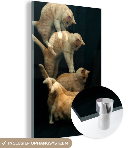 Peinture sur Verre - Chat Bondissant - 20x30 cm - Peintures sur Verre Peintures - Photo sur Glas
