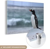 MuchoWow® Glasschilderij 60x40 cm - Schilderij acrylglas - Kleine ezelspinguïn - Foto op glas - Schilderijen
