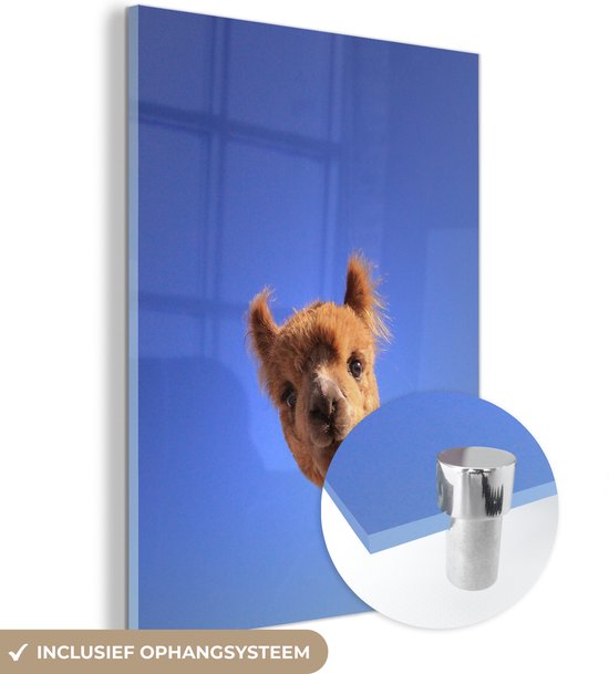 MuchoWow® Peinture sur verre 60x80 cm - Peinture sur verre acrylique - Alpaga - Marron - Blauw - Photo sur verre - Peintures