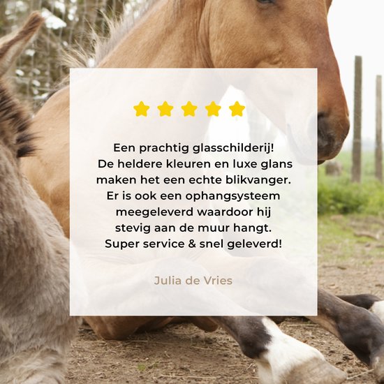 Peinture sur Verre - Âne Chat et Cheval sur Chemin de Terre - 180x120 cm - Peintures sur Verre Peintures - Photo sur Glas