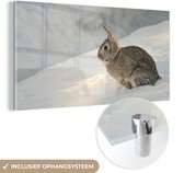 MuchoWow® Glasschilderij 80x40 cm - Schilderij acrylglas - Konijn - Sneeuw - Winter - Wild - Foto op glas - Schilderijen