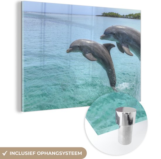 Glasschilderij - Dolfijnen voor de Baai-eilanden - Acrylglas Schilderijen - Foto op Glas