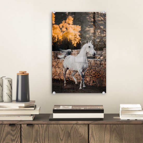 ® Glasschilderij 20x30 cm - Schilderij acrylglas - Paard - Wit - Boom - Zon - Foto op glas - Muurdecoratie woonkamer - Wanddecoratie slaapkamer - Schilderijen