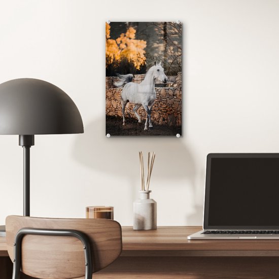 ® Glasschilderij 20x30 cm - Schilderij acrylglas - Paard - Wit - Boom - Zon - Foto op glas - Muurdecoratie woonkamer - Wanddecoratie slaapkamer - Schilderijen