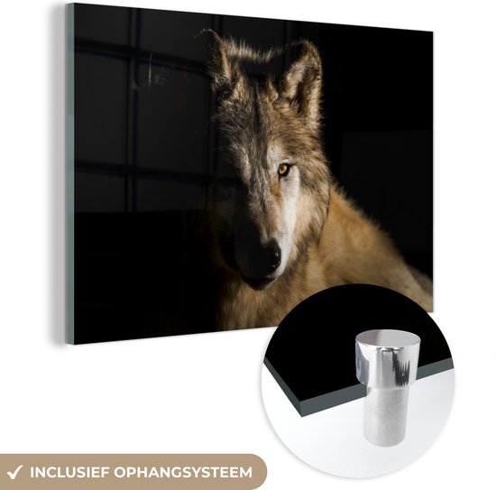 MuchoWow® Glasschilderij 90x60 cm - Schilderij acrylglas - Arctische wolf - Foto op glas - Schilderijen