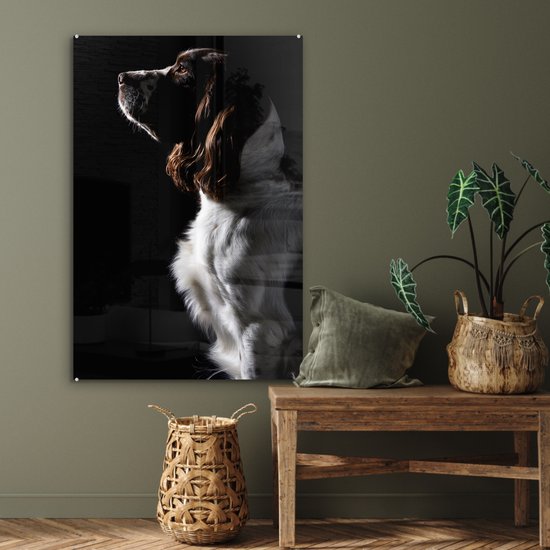 Peinture sur Verre - Épagneul Springer sur Fond Noir - 80x120 cm - Peintures sur Verre Peintures - Photo sur Glas