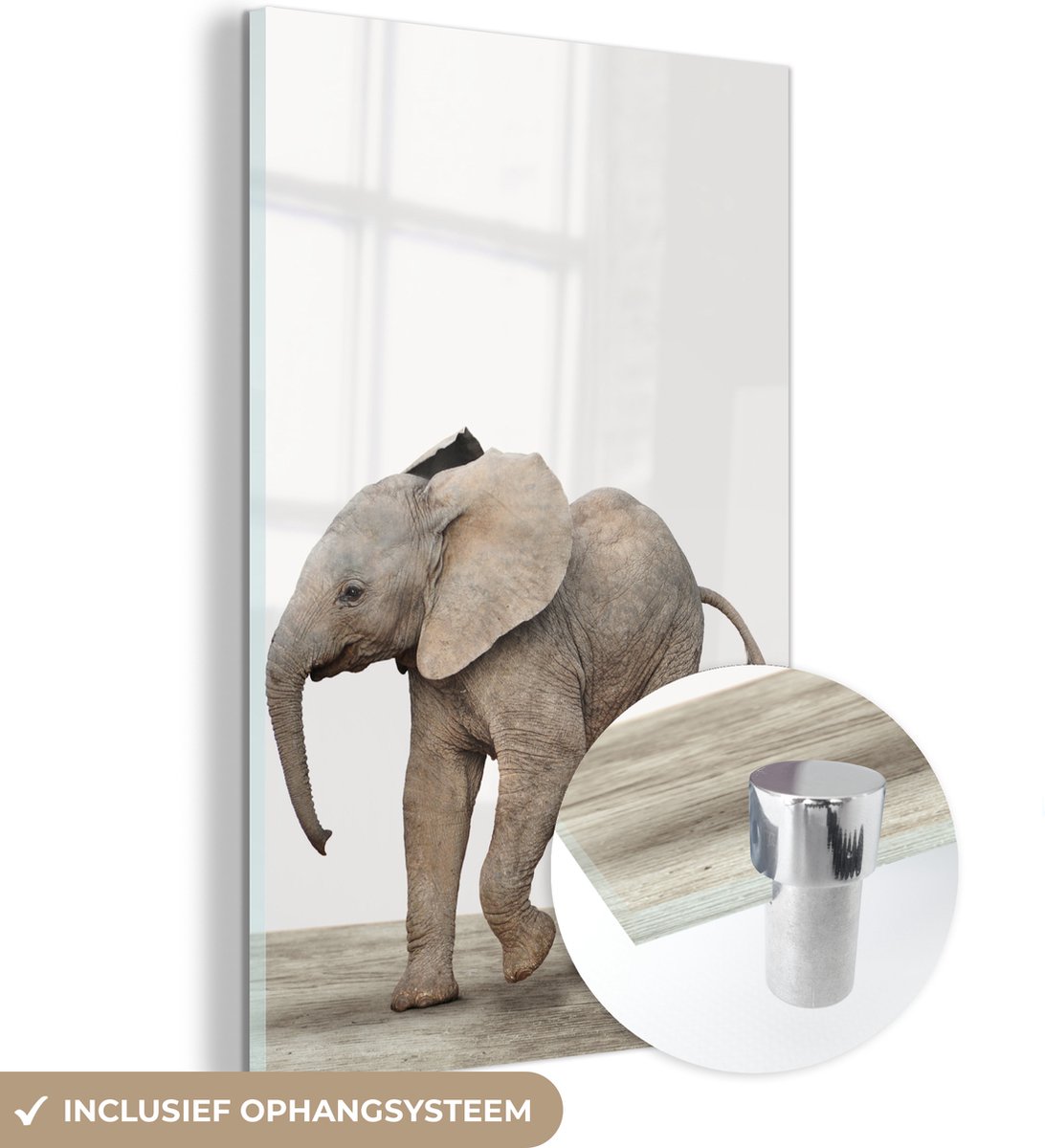 MuchoWow® Glasschilderij 20x30 cm - Schilderij acrylglas - Baby olifant - Dieren - Olifant - Kinderen - Meiden - Jongens - Foto op glas - Schilderijen