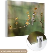 MuchoWow® Glasschilderij 160x120 cm - Schilderij acrylglas - Koolmees op een kleurrijke tak - Foto op glas - Schilderijen