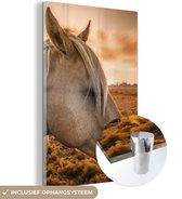 MuchoWow® Peinture sur verre 40x60 cm - Peinture acrylique sur verre - Cheval - Animaux - Portrait - Photo sur verre - Peintures