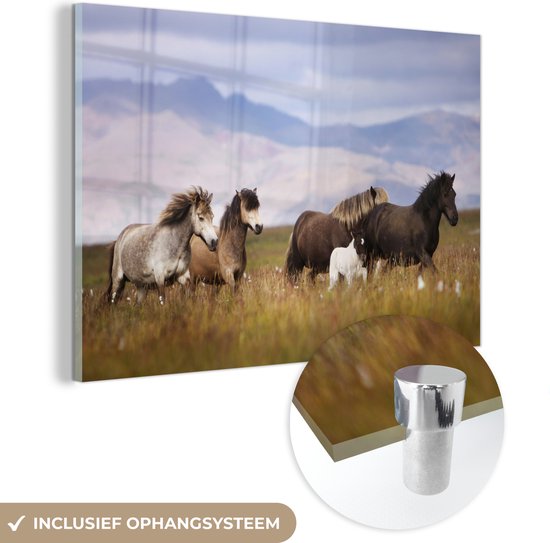 MuchoWow® Glasschilderij - Paarden - Gras - Bergen - Acrylglas Schilderijen - Foto op Glas