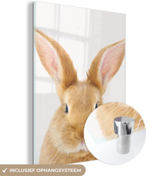 MuchoWow® Peinture sur verre 120x160 cm - Peinture sur verre acrylique - Enfants - Lapin - Enfant - Filles - Garçons - Photo sur verre - Peintures