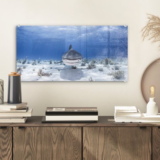 MuchoWow® Peinture sur Verre - Requin Nageur - 40x20 cm - Peintures sur Verre Acrylique - Photo sur Glas