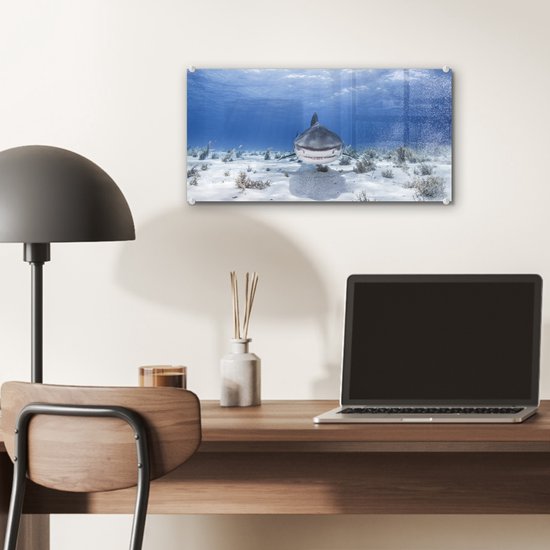 MuchoWow® Peinture sur Verre - Requin Nageur - 40x20 cm - Peintures sur Verre Acrylique - Photo sur Glas