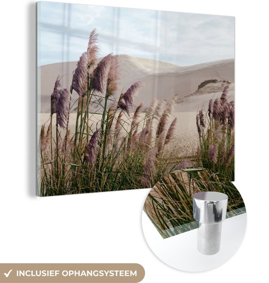 MuchoWow® Glasschilderij 40x30 cm - Schilderij acrylglas - Pampasgras - Zand - Planten - Duin - Foto op glas - Schilderijen