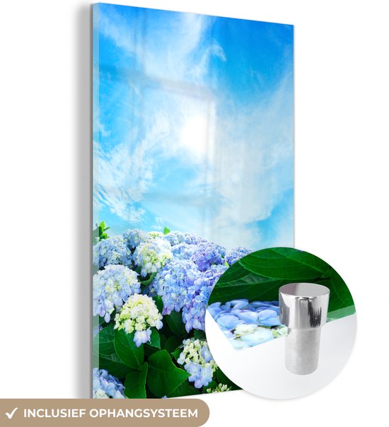 MuchoWow® Glasschilderij 40x60 cm - Schilderij acrylglas - Japanse hortensia bloemen - Foto op glas - Schilderijen