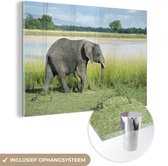 MuchoWow® Glasschilderij 60x40 cm - Schilderij acrylglas - Een olifant loopt langs de rivier in het Nationaal park South Luangwa - Foto op glas - Schilderijen