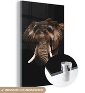 MuchoWow® Glasschilderij 60x90 cm - Schilderij acrylglas - Olifant - Zwart - Papegaai - Foto op glas - Schilderijen