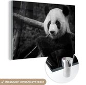 MuchoWow® Glasschilderij 180x120 cm - Schilderij acrylglas - Panda die op bamboe kauwt in het zwart-wit - Foto op glas - Schilderijen