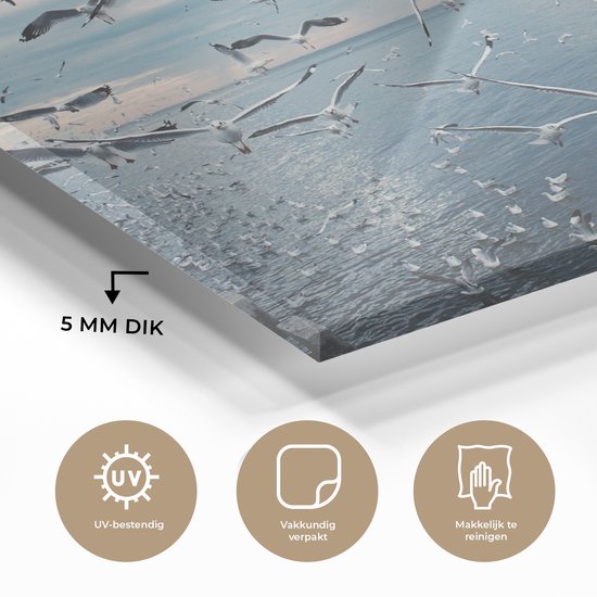 MuchoWow® Peinture sur Verre - Gros Plan Volée de Mouettes - 120x80 cm - Peintures sur Verre Peintures - Photo sur Glas
