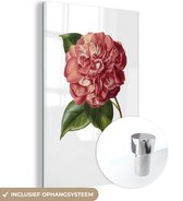 MuchoWow® Glasschilderij 80x120 cm - Schilderij acrylglas - Bloemen - Roze - Roos - Foto op glas - Schilderijen