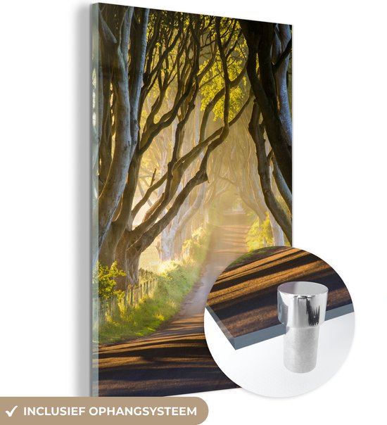 MuchoWow® Glasschilderij 40x60 cm - Schilderij acrylglas - Zon verlicht de Dark Hedges - Foto op glas - Schilderijen